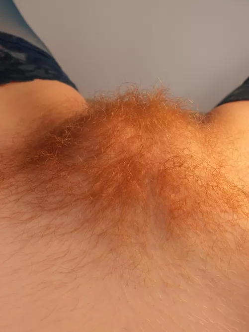 You are allowed to lick my hairy mound by RedWildcatx