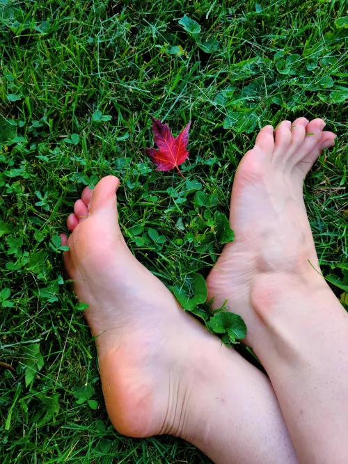 Feet in the grass by MissArcana
