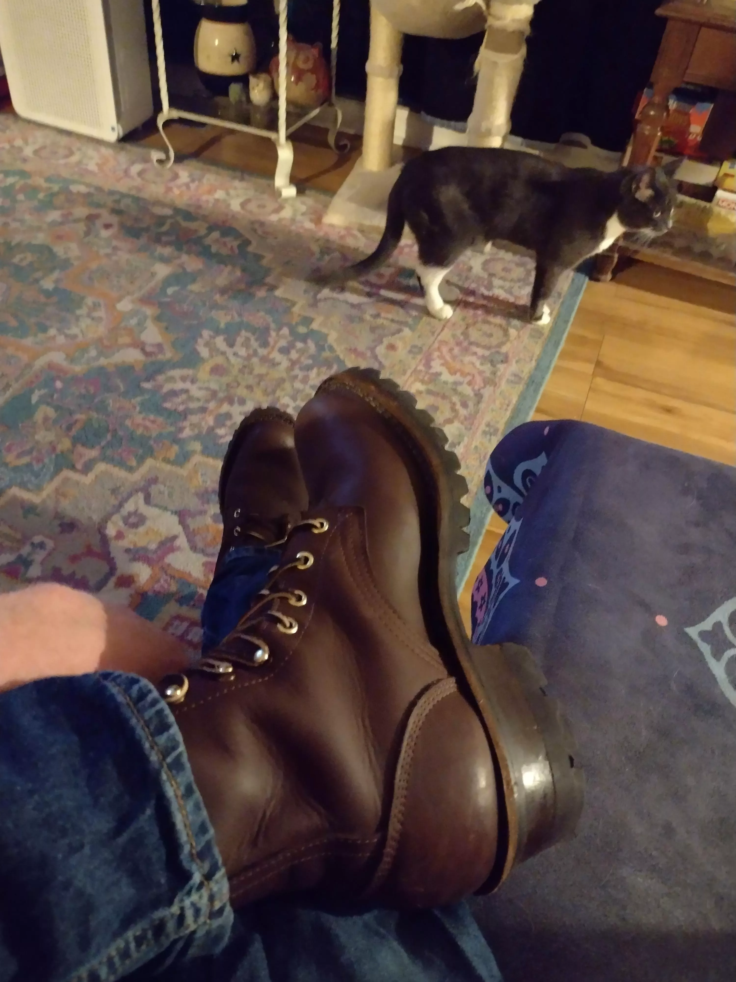 Frank's Patriots out here fighting the good fight in the airfield and flyfishing in the Boulder fields.   posted by sothisisitdamnit