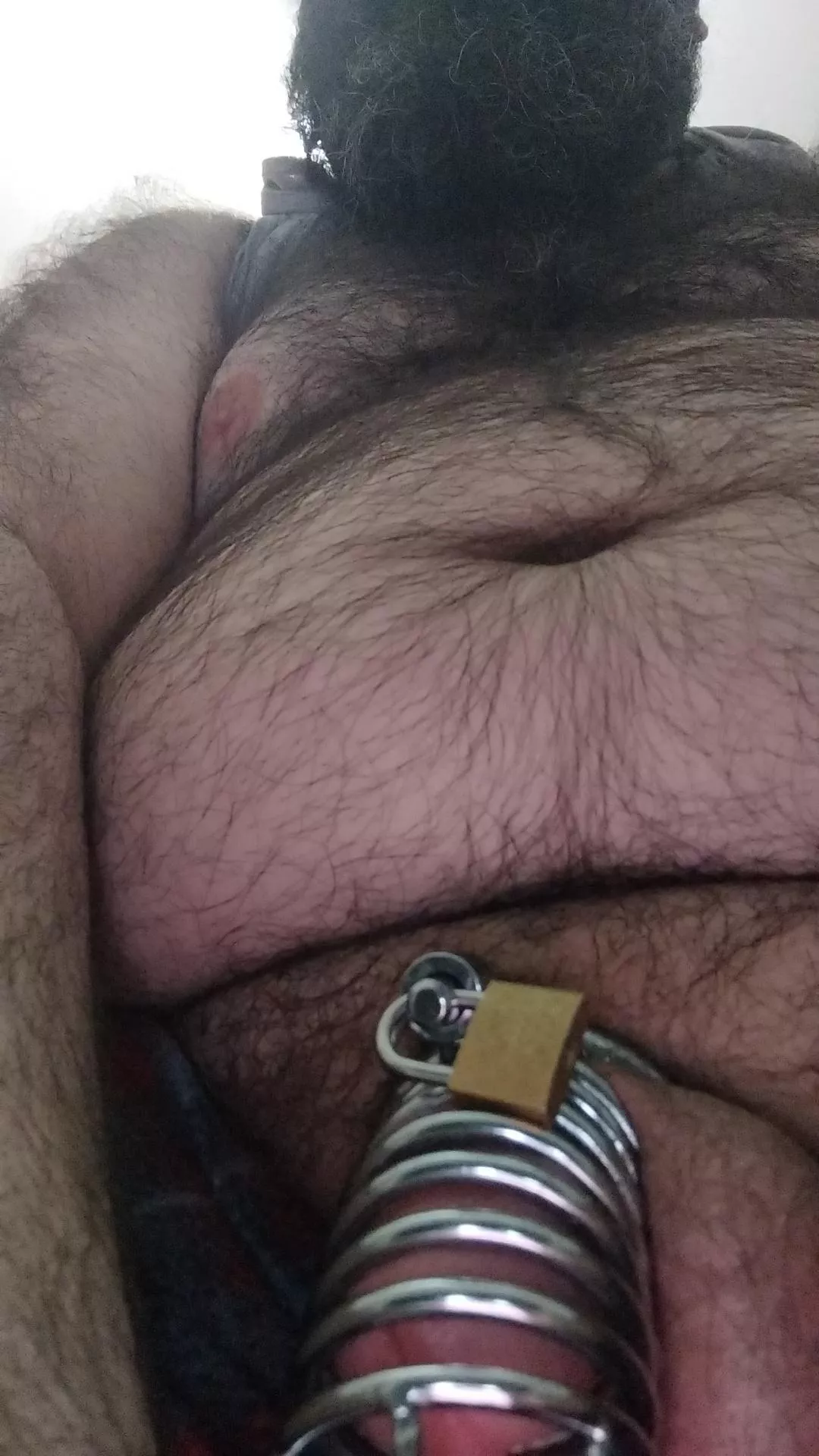 Hairy and beary  posted by thebeard-bear