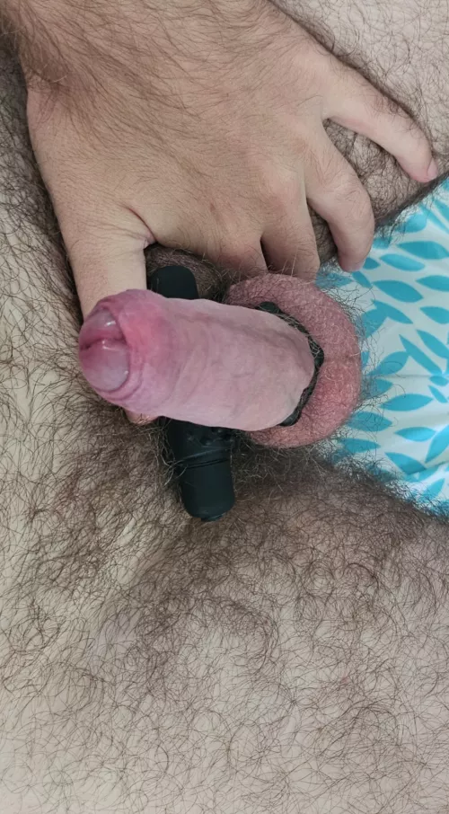 Hairy uncut cock. Does anyone like it ?  by sik8008