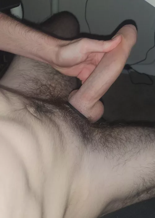 Hung like a horse  by danalafterdark