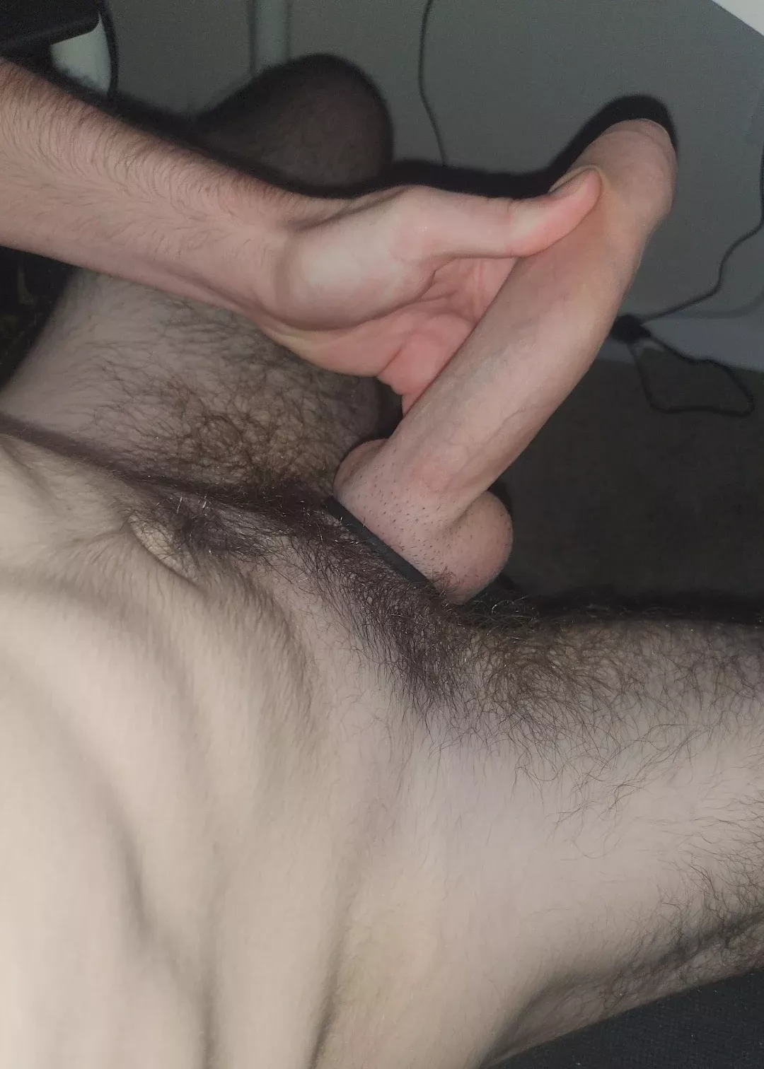 Hung like a horse  posted by danalafterdark