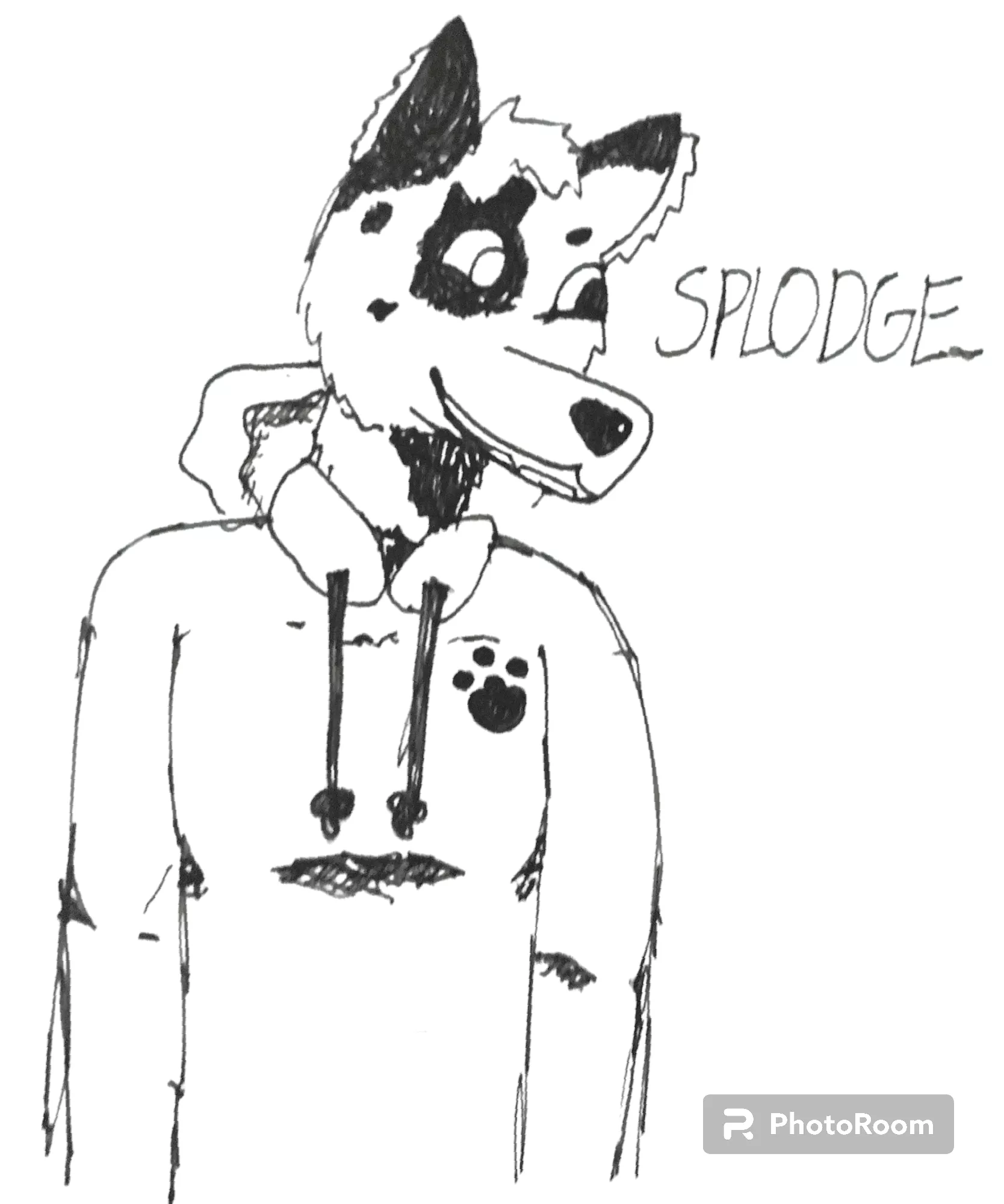 I made my first fursona posted by c0ff33_cat