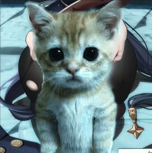 LF color source: 1girl, spread ass, meme, ass focus, on floor, black hair, hair ornament, hat, dogeza, doggystyle, torn thighhighs, mona, genshin impact. by bigboysh1t