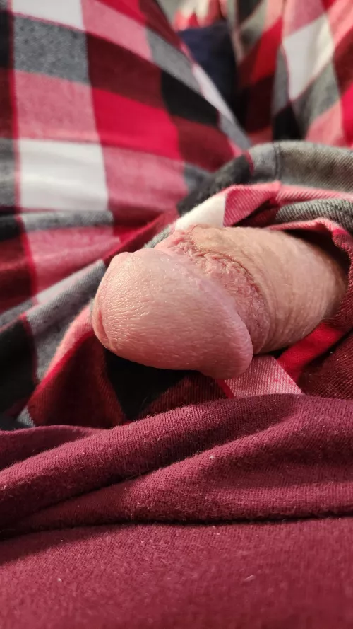 Monday Morning hanging out on Reddit ...(59) Bi Dad by sagmyballsare