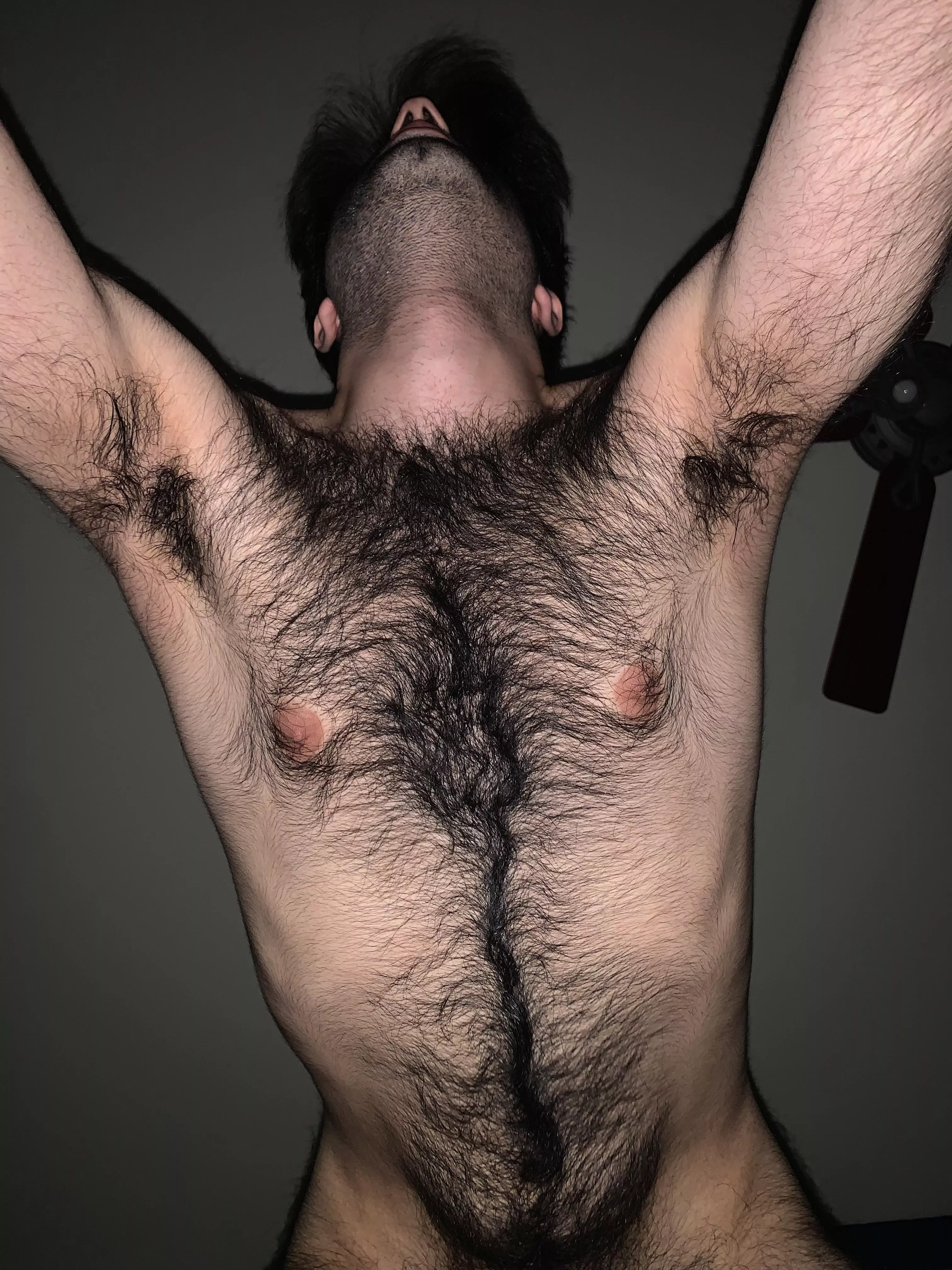 My hairy armpits👌 posted by Prestigious_Sky_5043