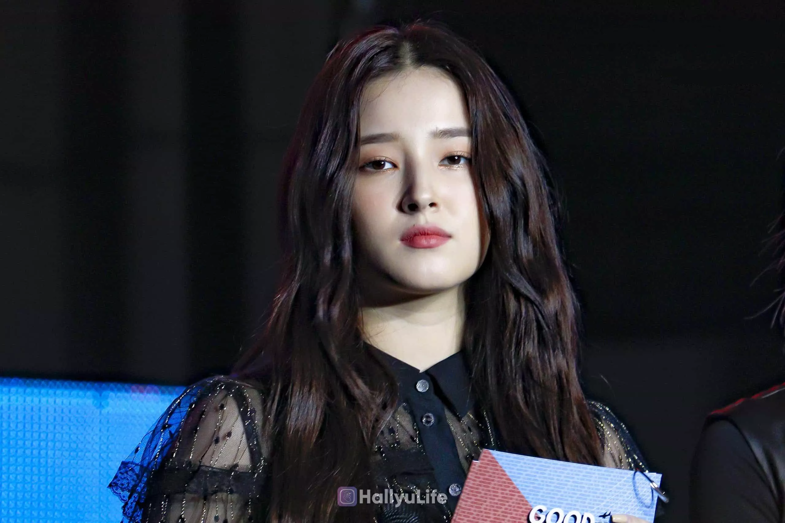 Nancy MOMO posted by clanlord