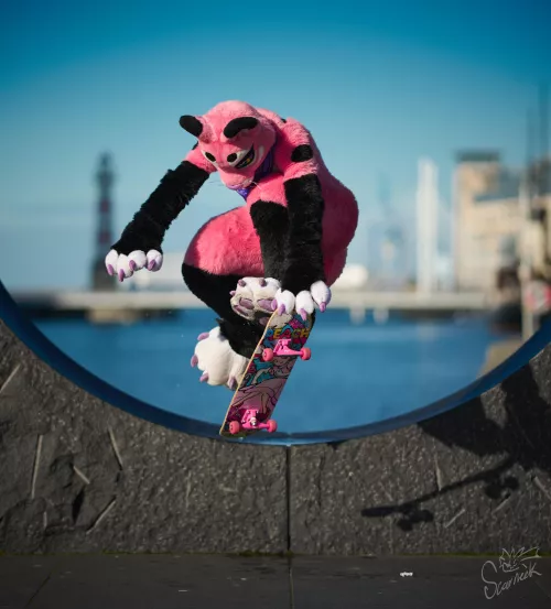 Purrfect shot of a purrfectly okay skateboarding lioness on a beautiful sunny day! 😻💖 by blondemohawk