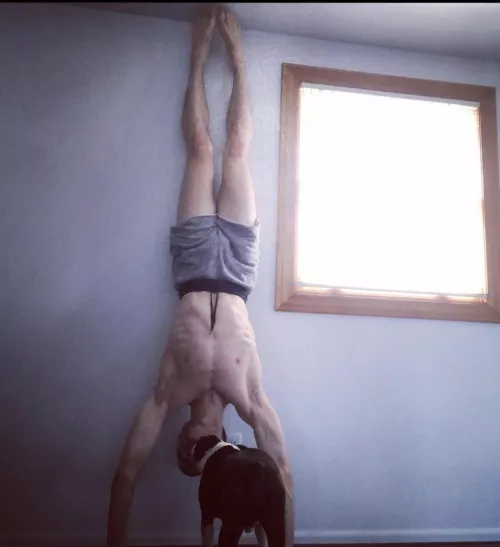 Someone has seen Spider-Man by SuperPuppyNoodleBoy