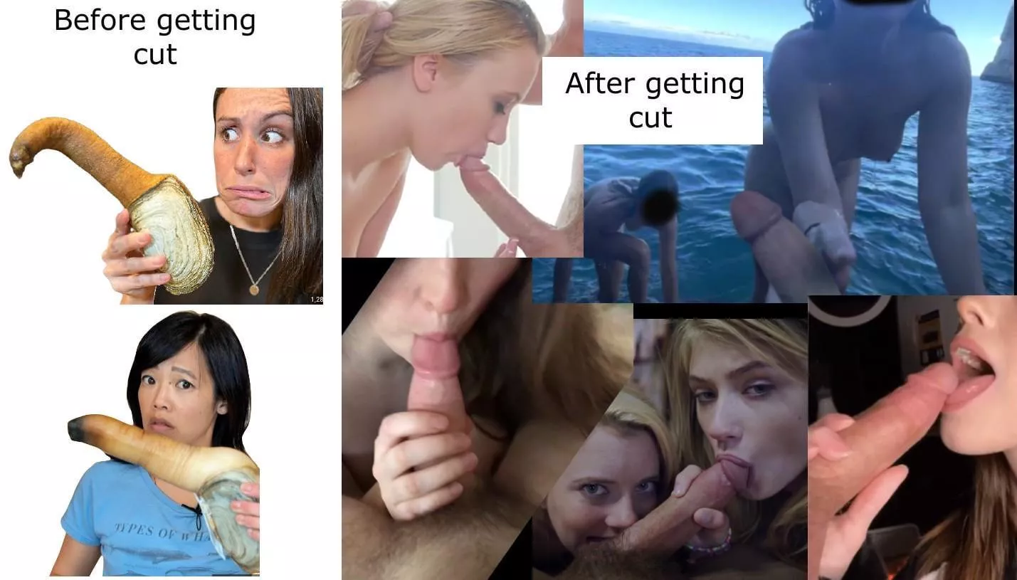 They do look like Geoducks 😂 posted by Needcirc