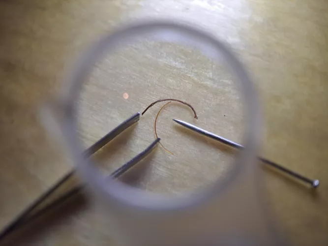 What did I just pull from my face/beard? Normal beard hair for comparison by Phoenixf1zzle