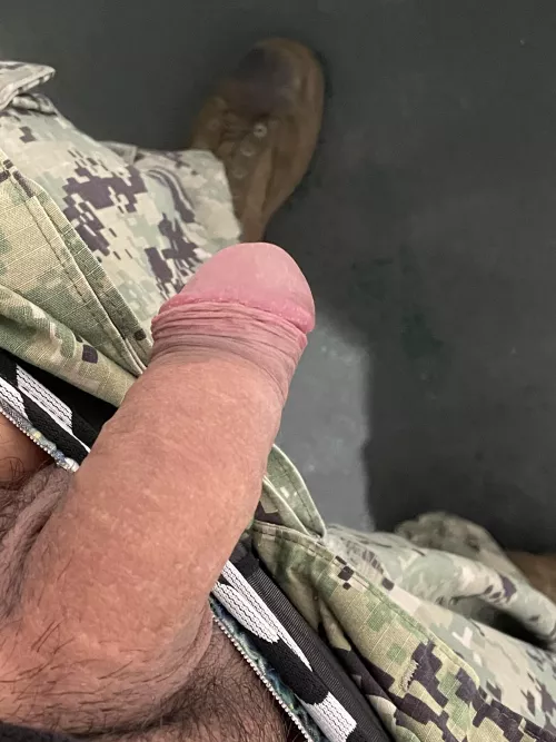 [31] A little cold this morning. Anyone care to help keep it warm? 😌 by Silent-Tap-8259