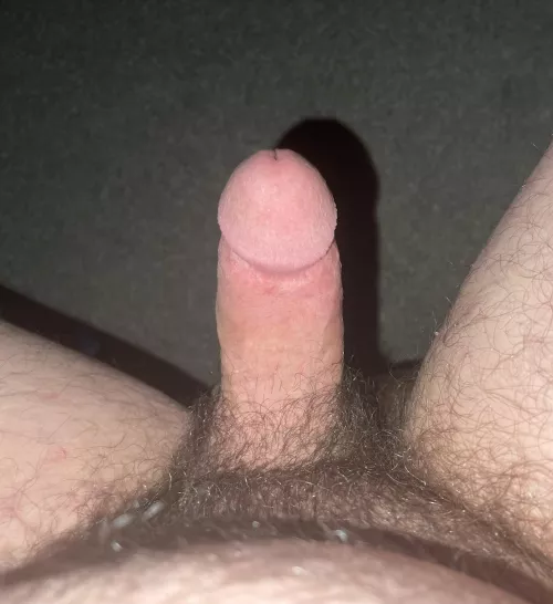 35. How about  a bi(curious) chub? by Scared_Somewhere_997