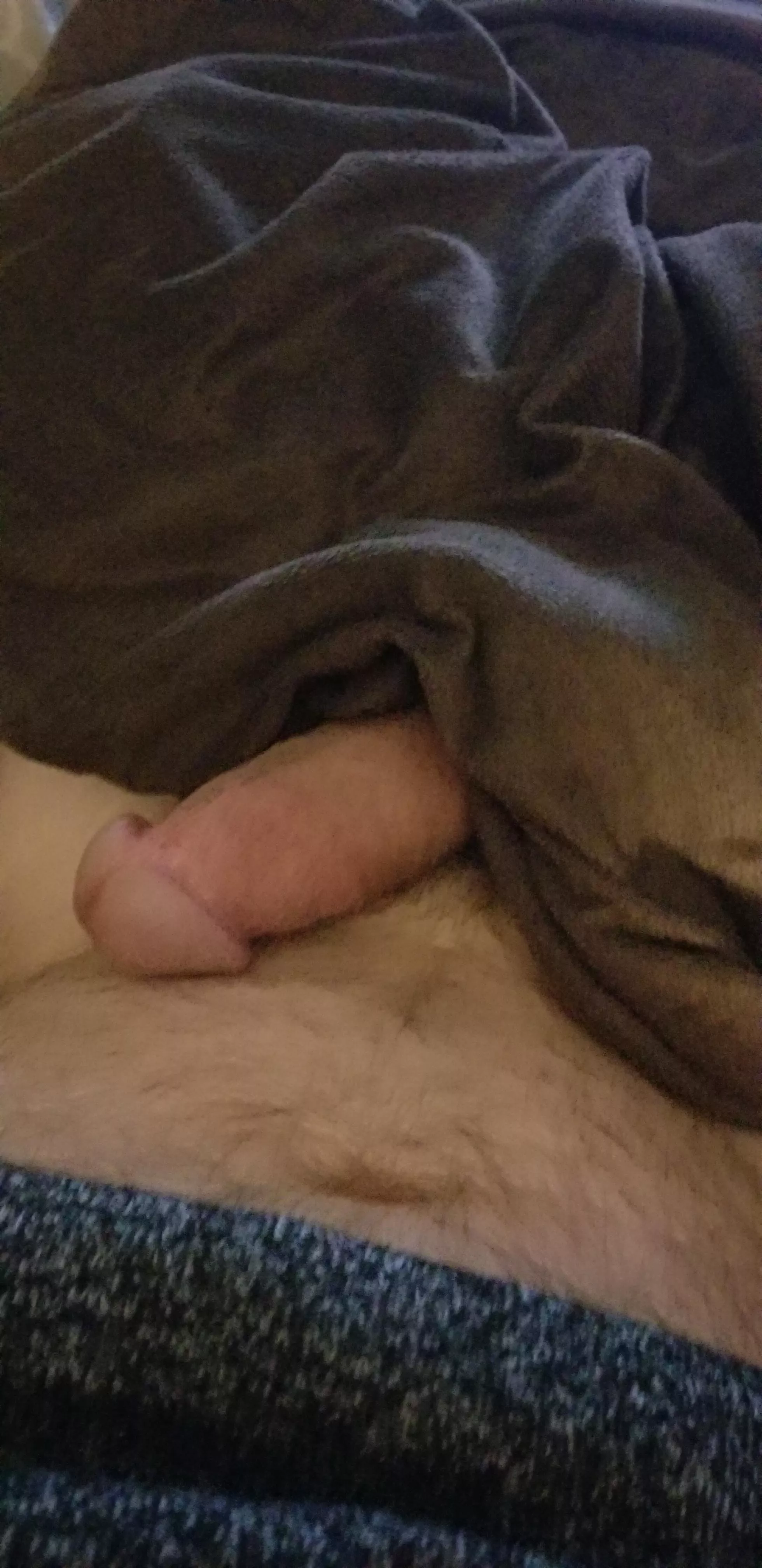 [42] Can you tease it all the way out? posted by Sea_town_samuri