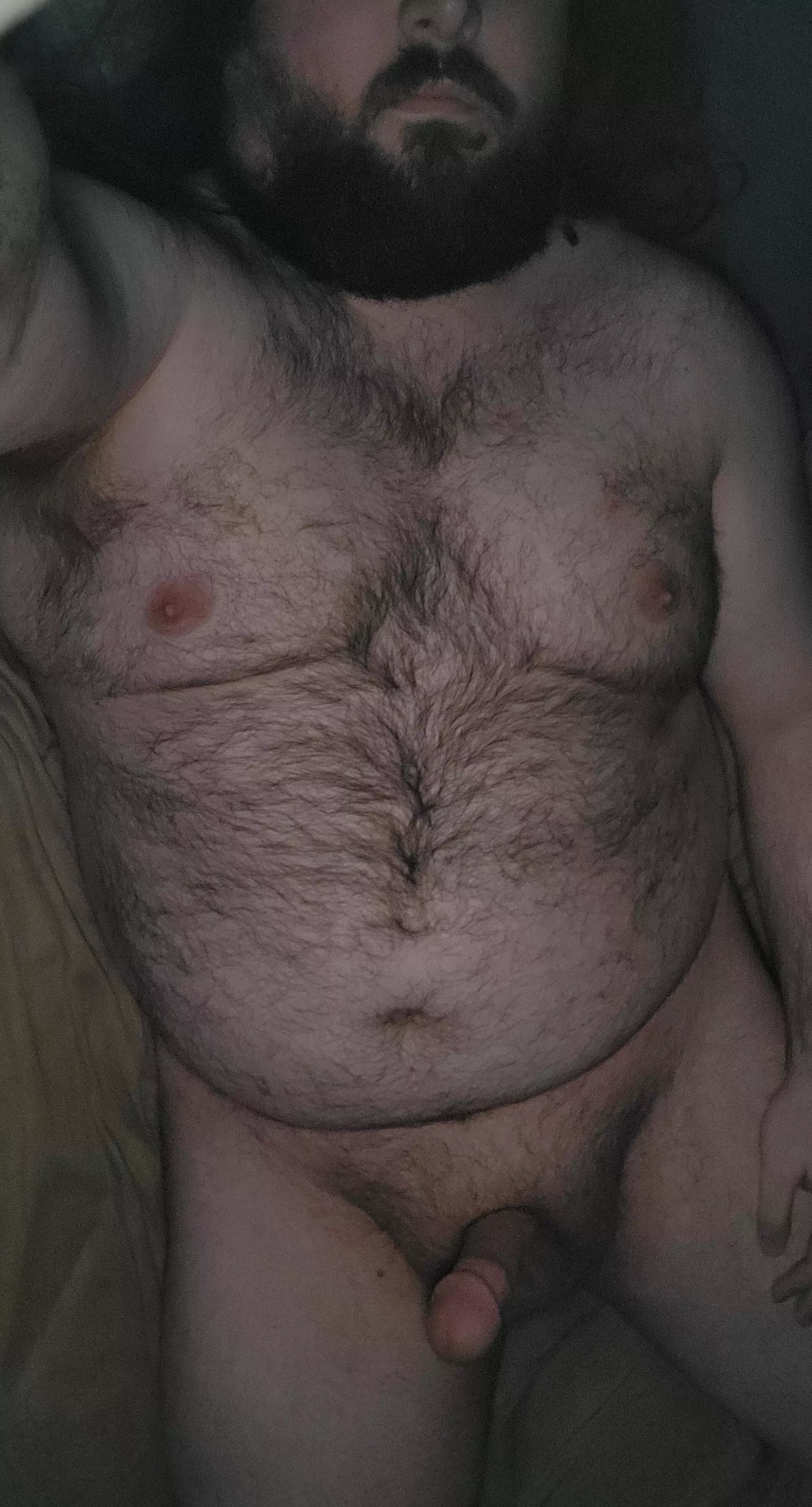 Are 26 year old bear cubs your type? posted by ruin_sec_ond