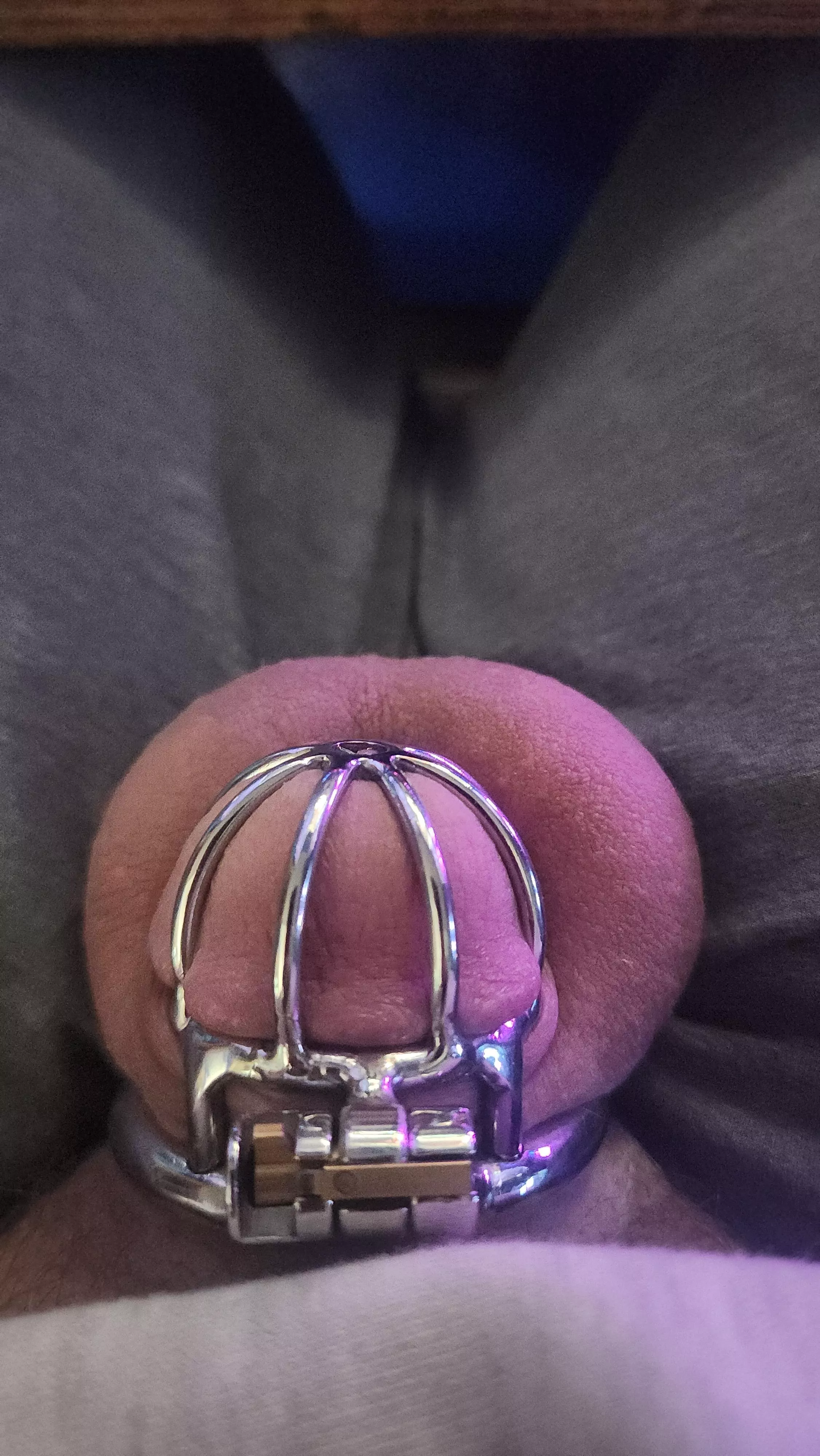 Caged since start of the year. Goal is 1 whole year. And it's getting tough. posted by Smooth_Rider69