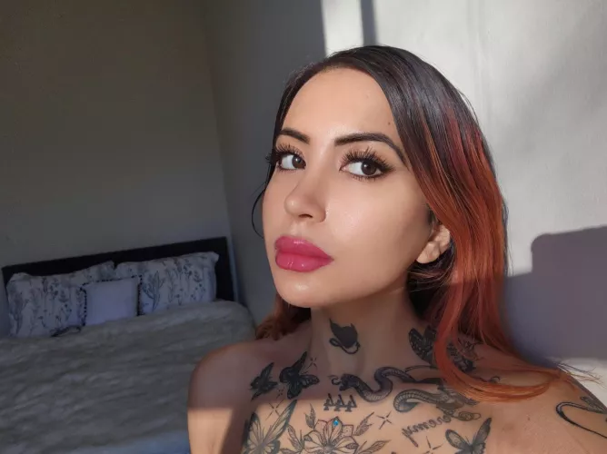 Courtney (@courtneydriscoll) [OnlyFans] by tattedgirlxo