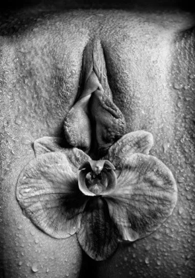 Delicate flowers  posted by SBDSBN