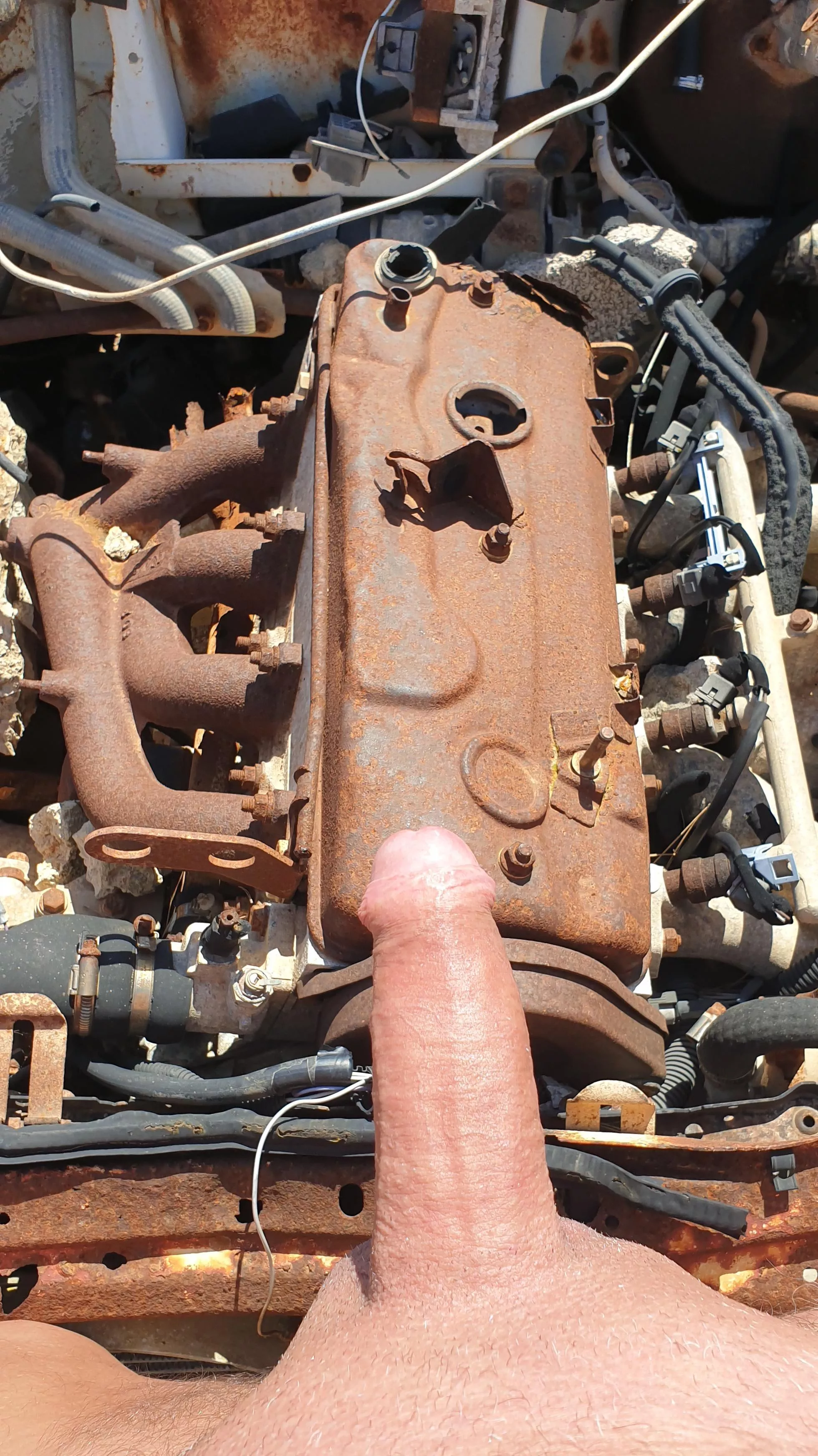 Dick and rust #1 posted by JoeMarc72