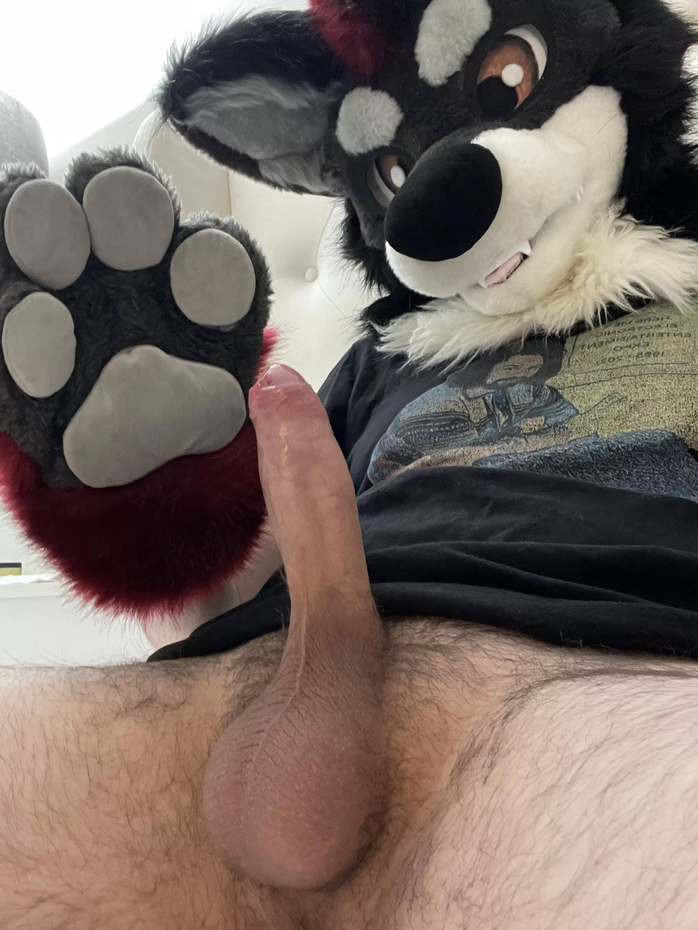 First post here, be nice 😊 posted by blackcoyote21