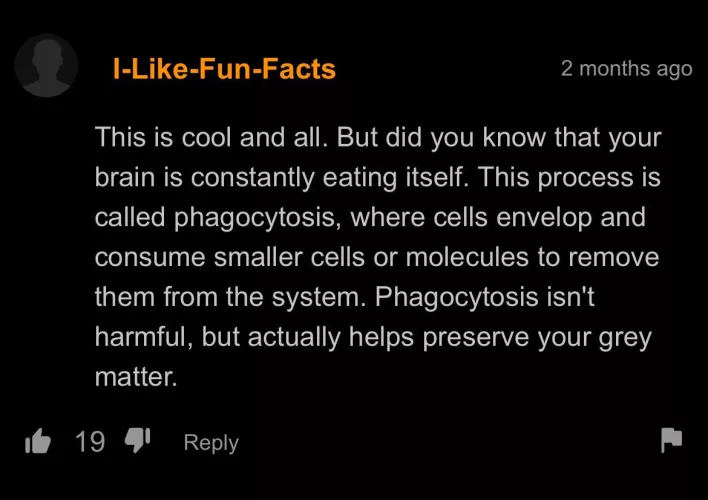 Fun fact by two-plane-two-towers