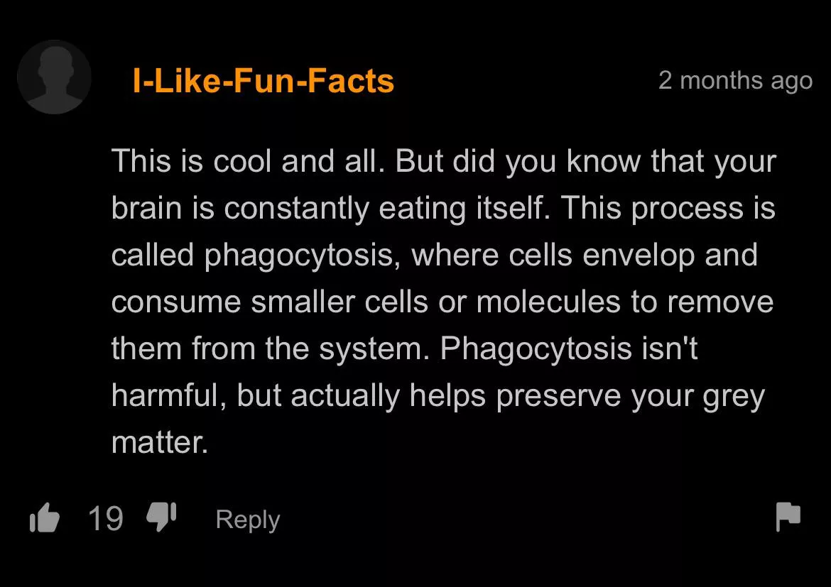 Fun fact posted by two-plane-two-towers