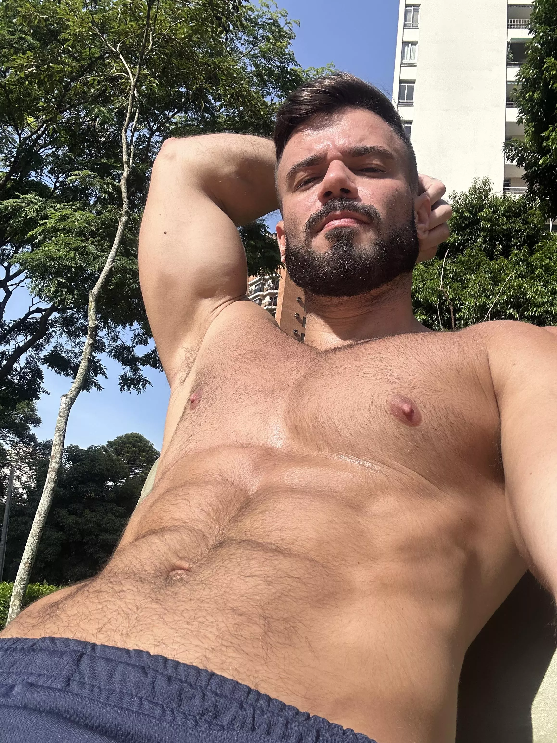 Good morning sun posted by italofassin