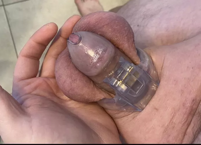 It’s time to relock. I haven’t wore it in a few months but wife doesn’t need my dick…I’m here for the reassurance and humility. by Top-Instruction5691