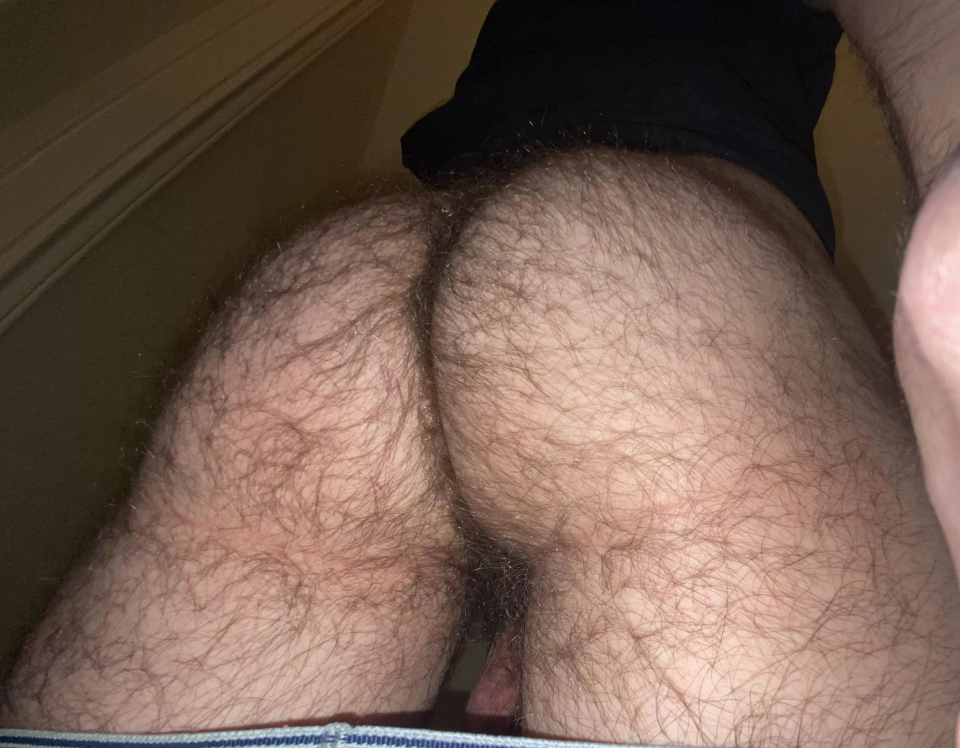 Like a manly ass?  posted by fuzzy_escobar