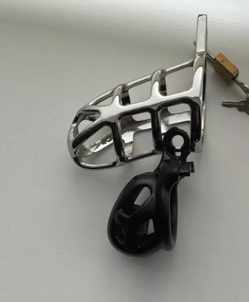 Miss is very pleased with herself by Acrobatic_Pack2167