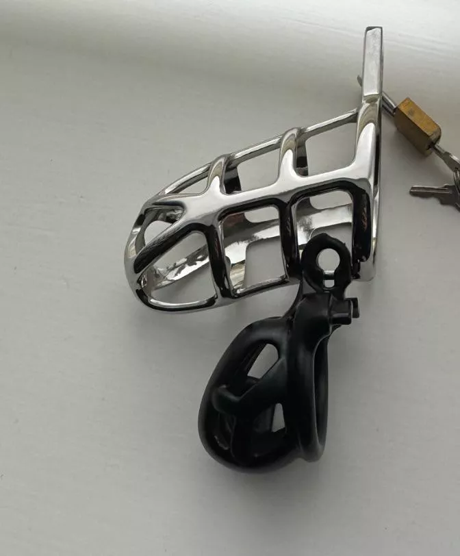 Miss is very pleased with herself posted by Acrobatic_Pack2167