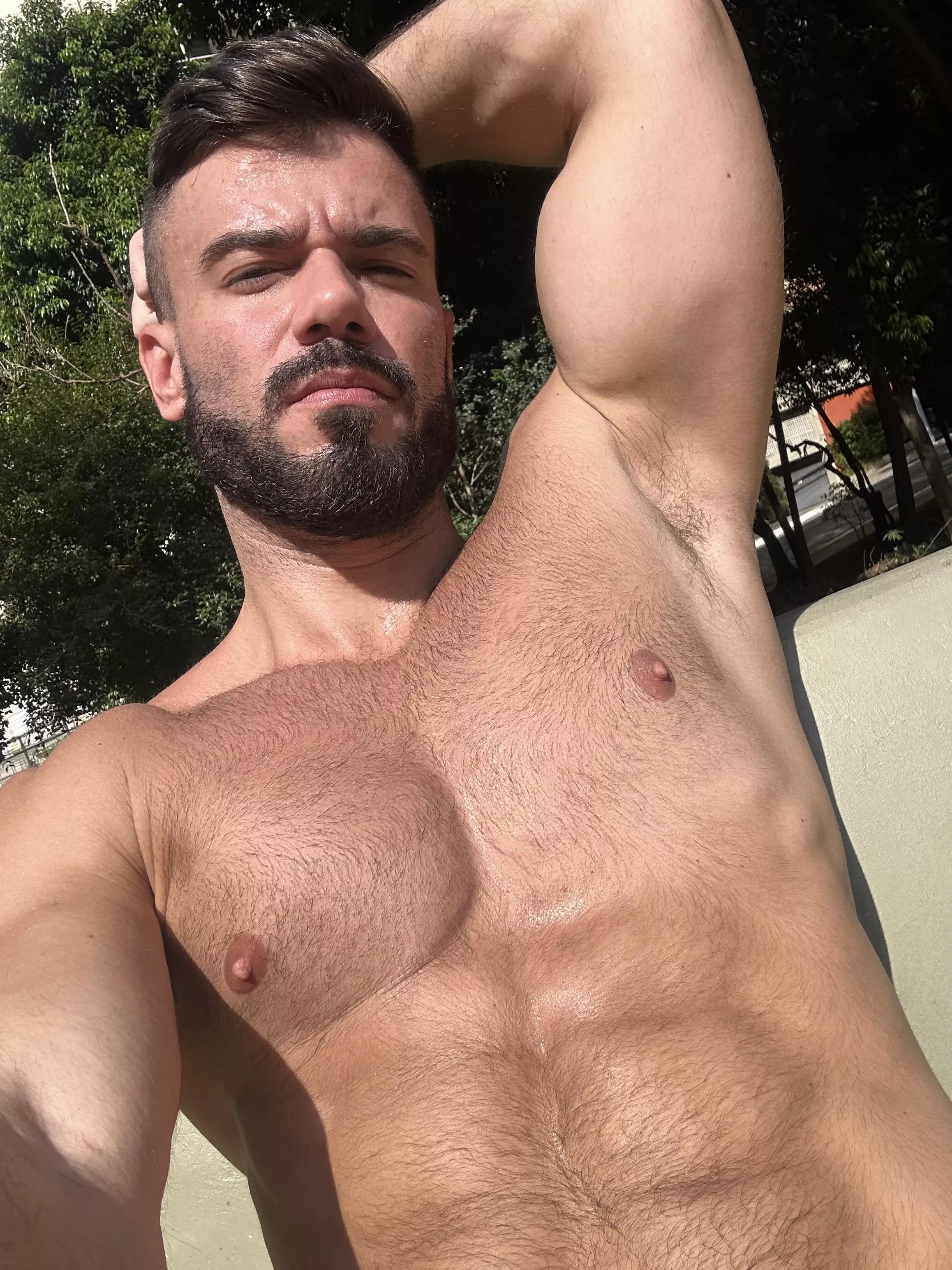 Morning sun (33) posted by italofassin