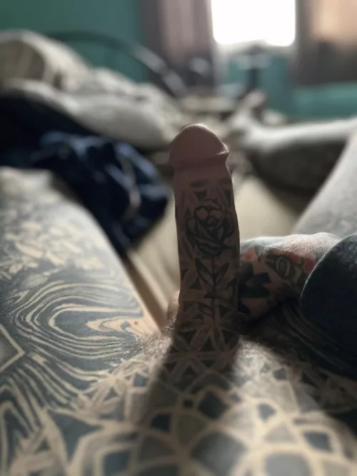 Mornings are the best. by Plenty_Move_2110