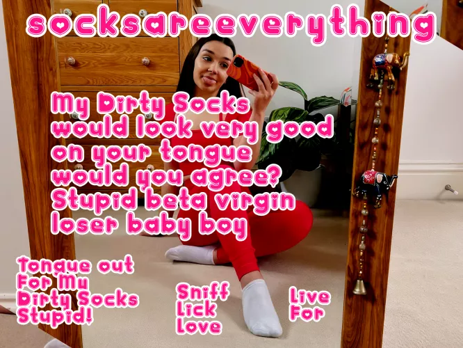 My dirty socks would look very good on your tongue stupid beta vigin loser would you agree baby boy? by SocksAreEverything