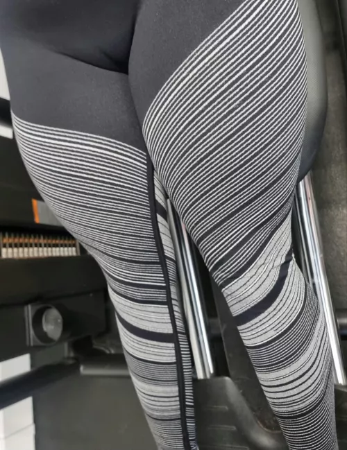 Quads looking pumped  by Professional-Tax-217