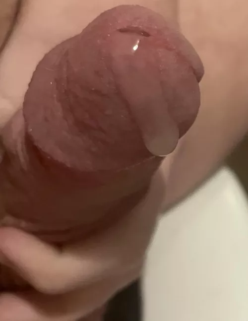 Starting to leak by Apprehensive_Meat672