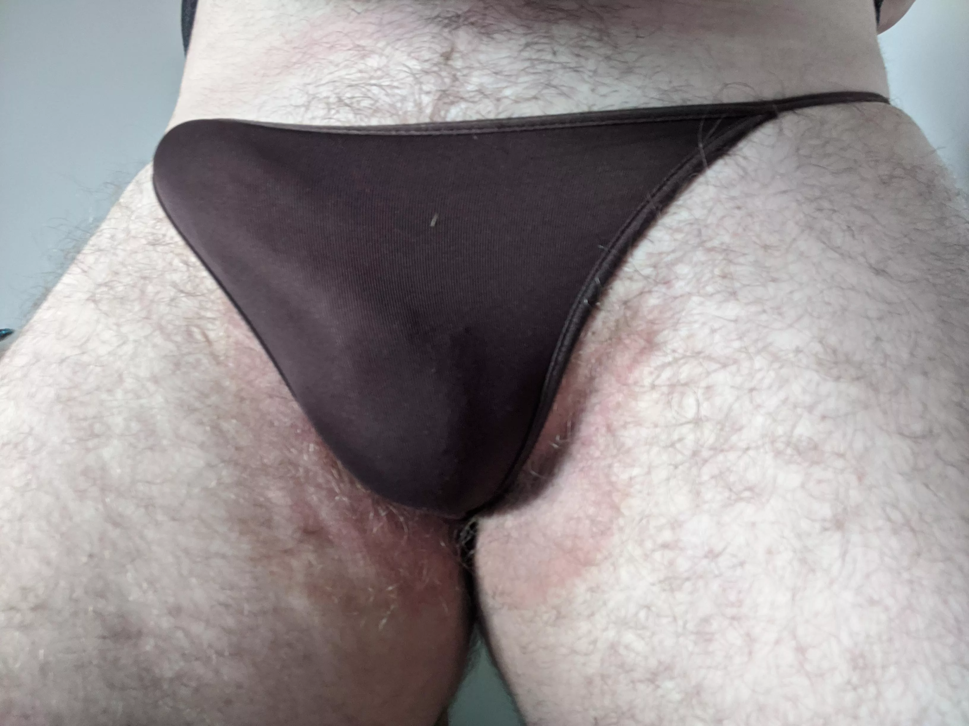 Stay or go?  posted by B_Tankara