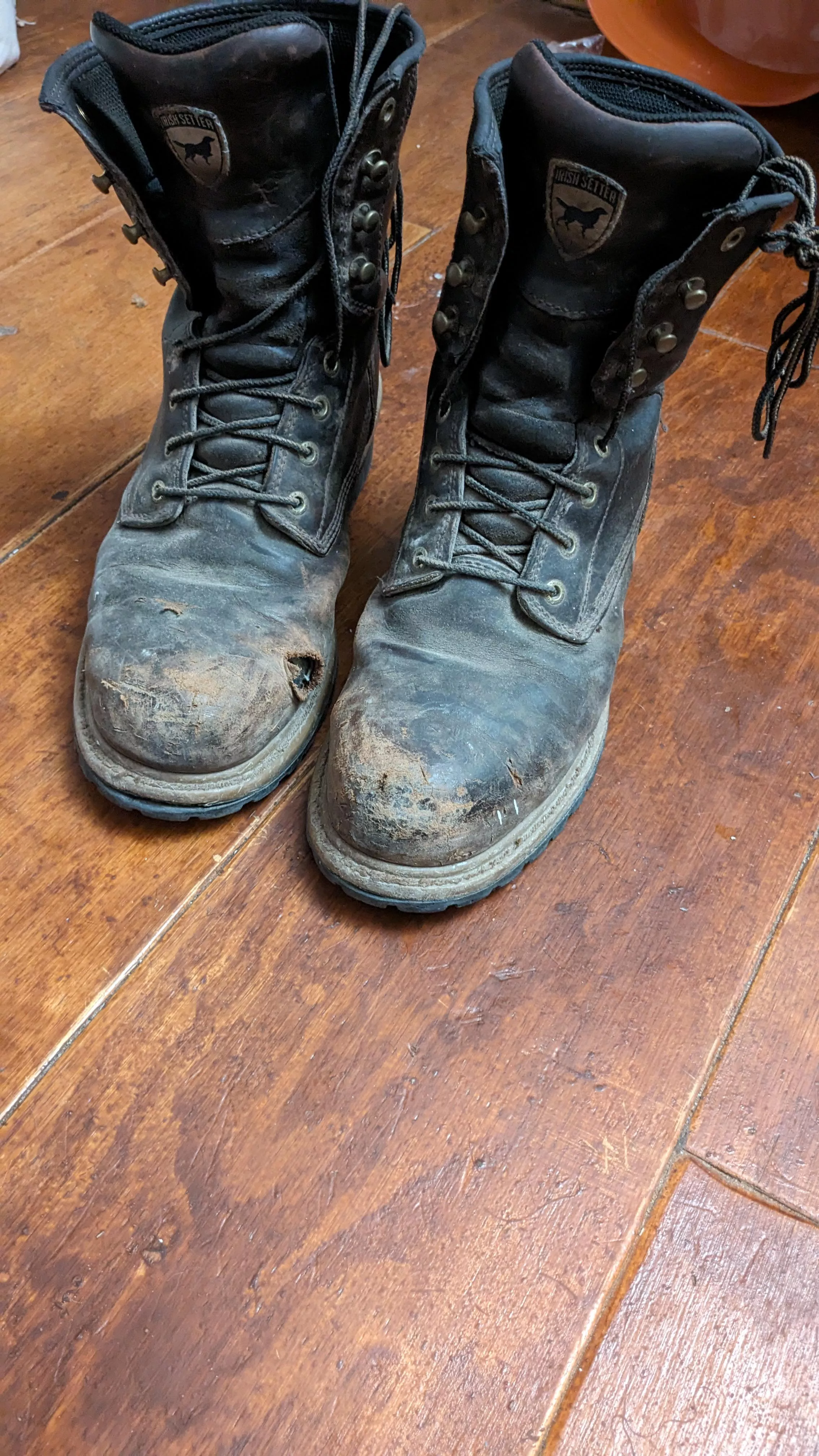 The moneymakers 🤘 posted by Different-Face9242