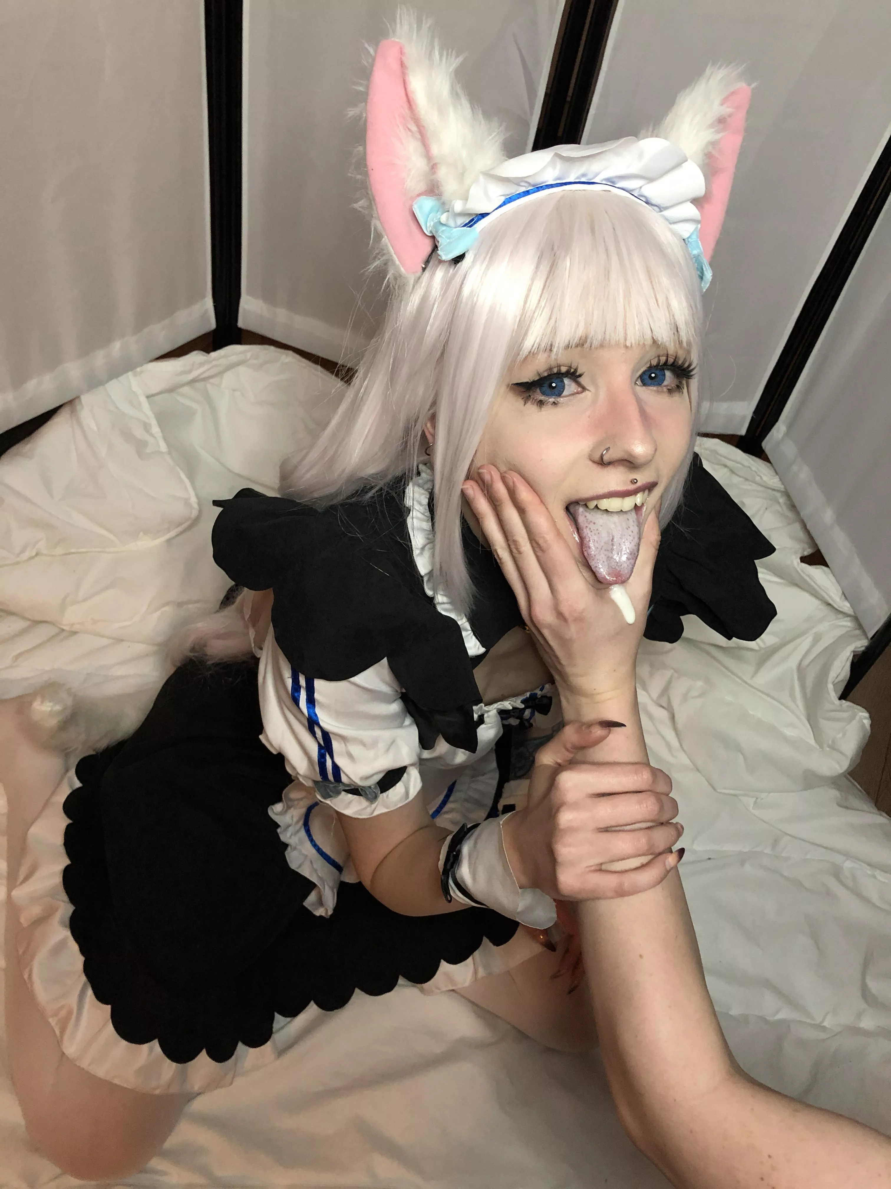 This kitty wants your milk posted by Loss_Roasted635