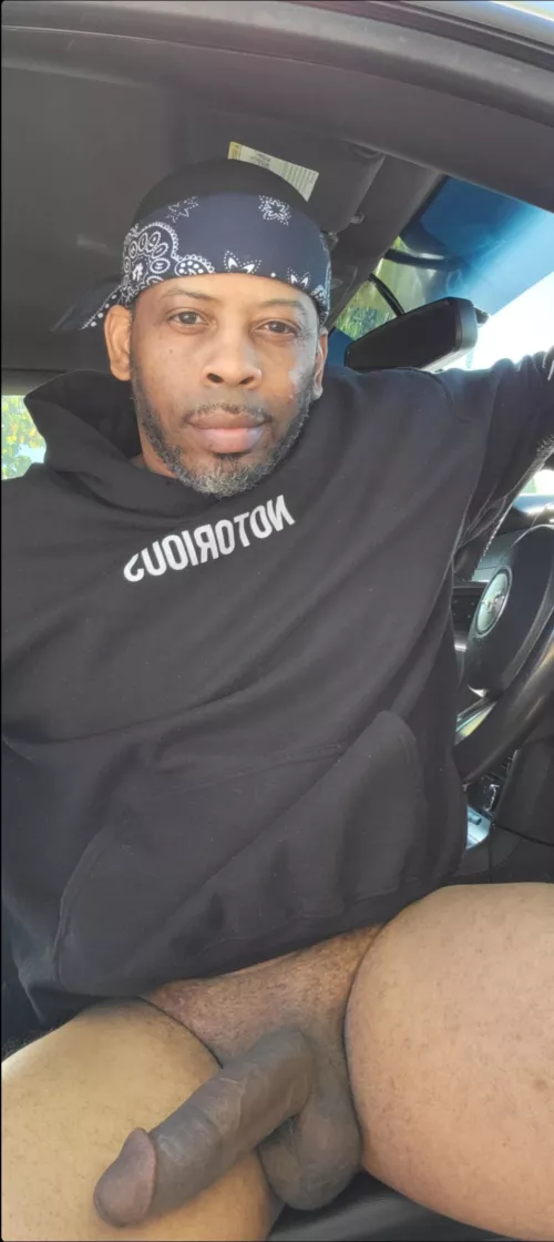 Want to go for a ride? by RepresentativeIll862