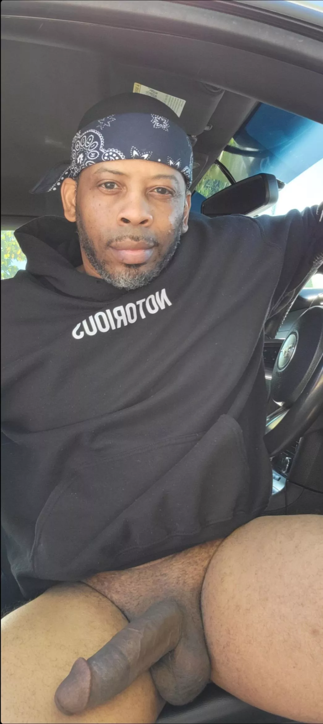 Want to go for a ride? posted by RepresentativeIll862