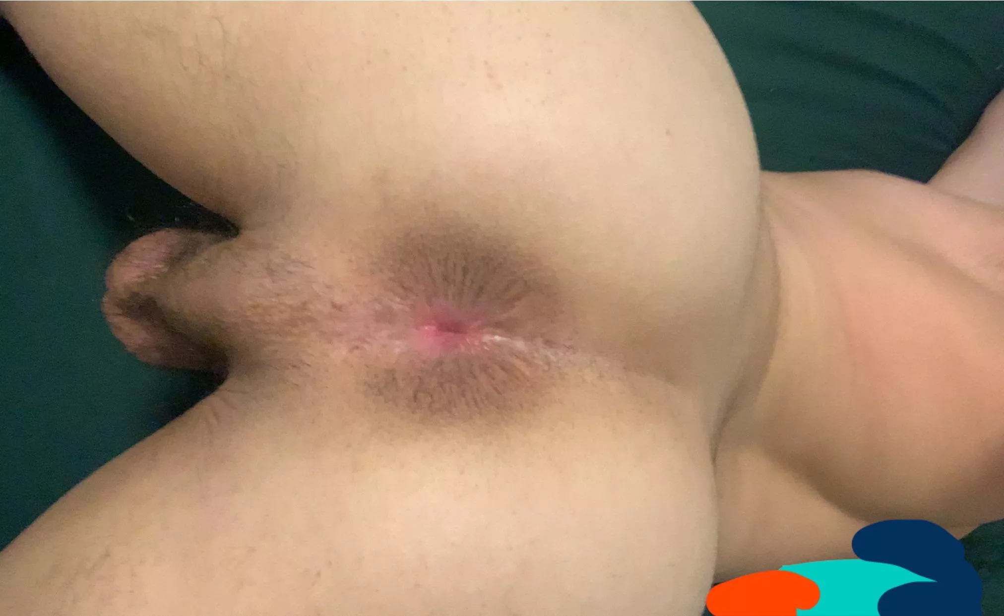 19 arab fag. Any straight white conservative men wanna use my fag ass or cock? maga+ fit only. @sn_n123 posted by SadBird5007