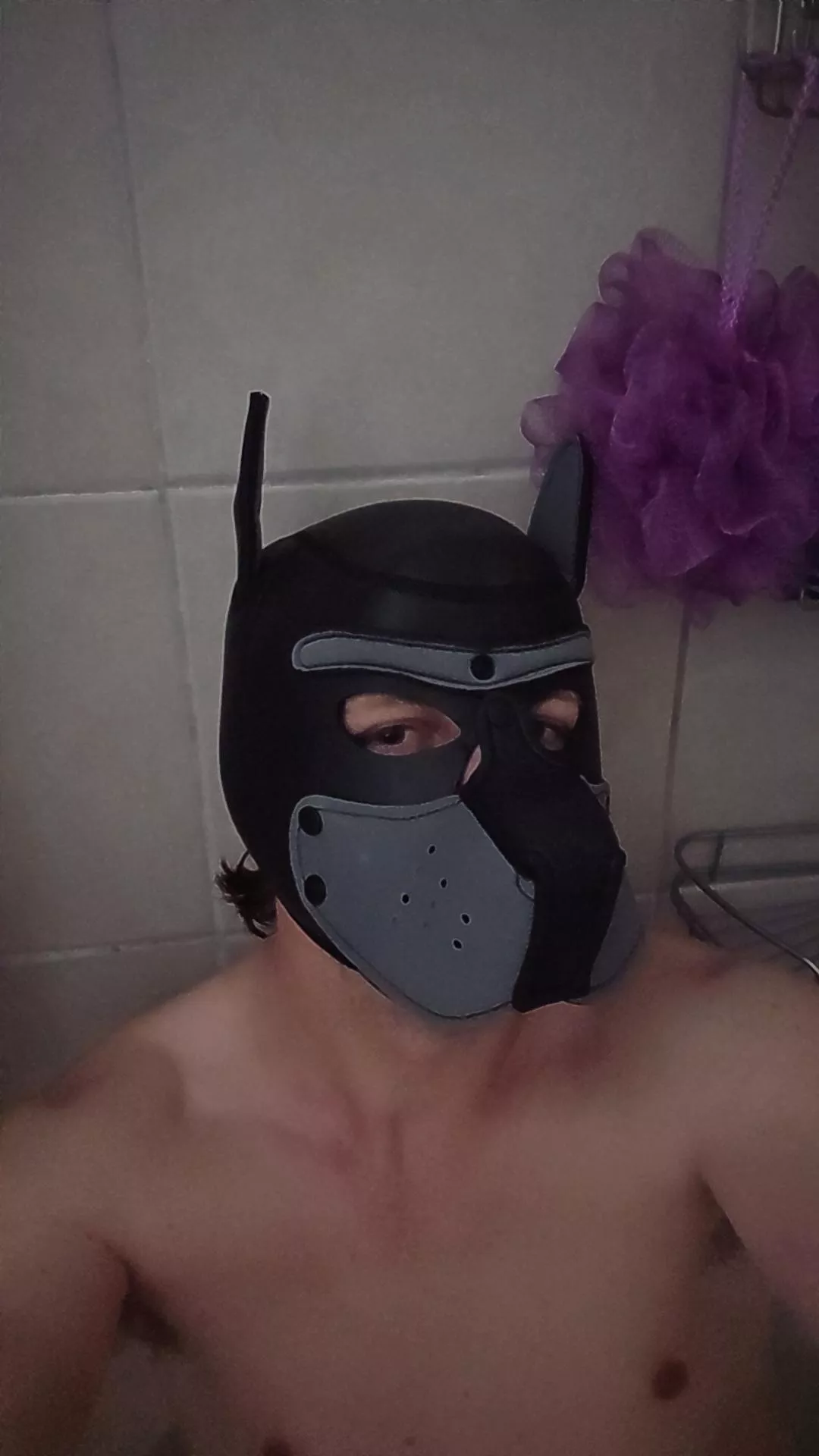 27 looking for a handler 21-30 on sc. Coleandnoah7 posted by TiltBetBo