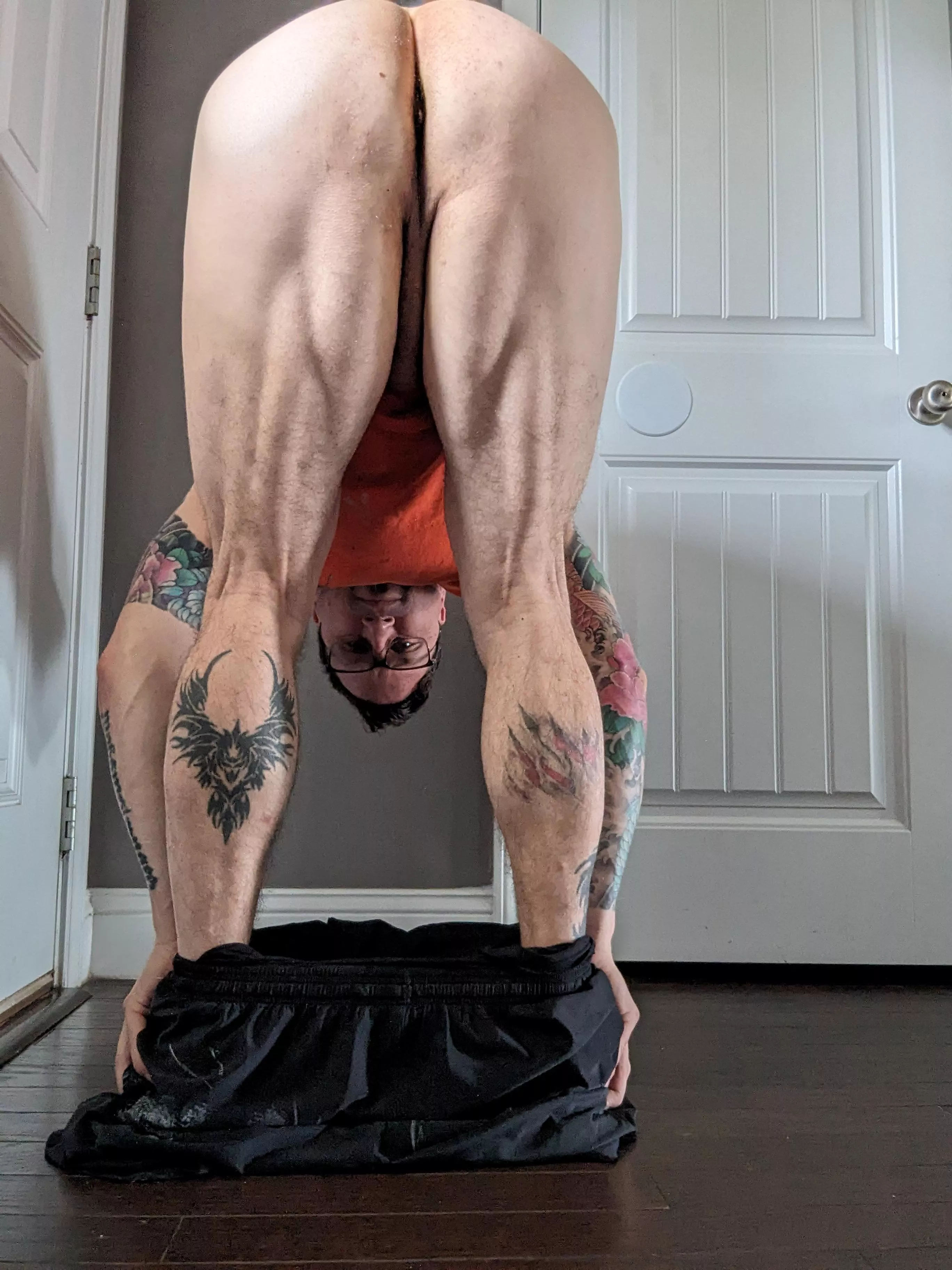 (45) I've never seen my hammies before...what do you think? posted by cfandhd