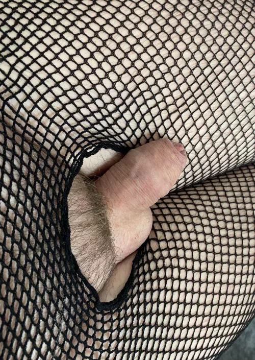 A question…… by Ill_Farmer_1812