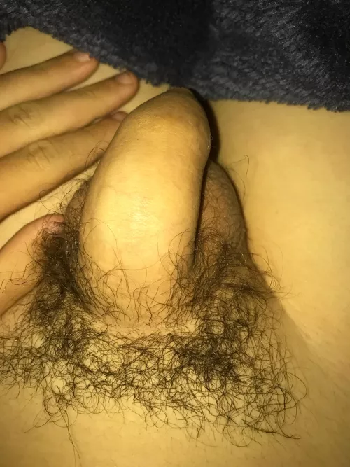 Can you guys rate my dick by Icy-Habit-2803