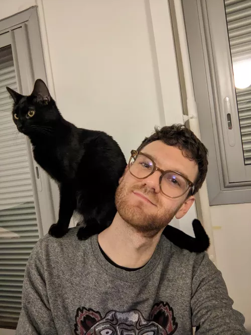 Come say hi to Bibi 😸 by KienLang_