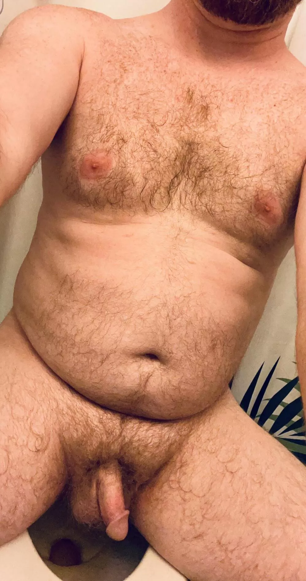 Does anyone find this attractive? posted by babble_illfated