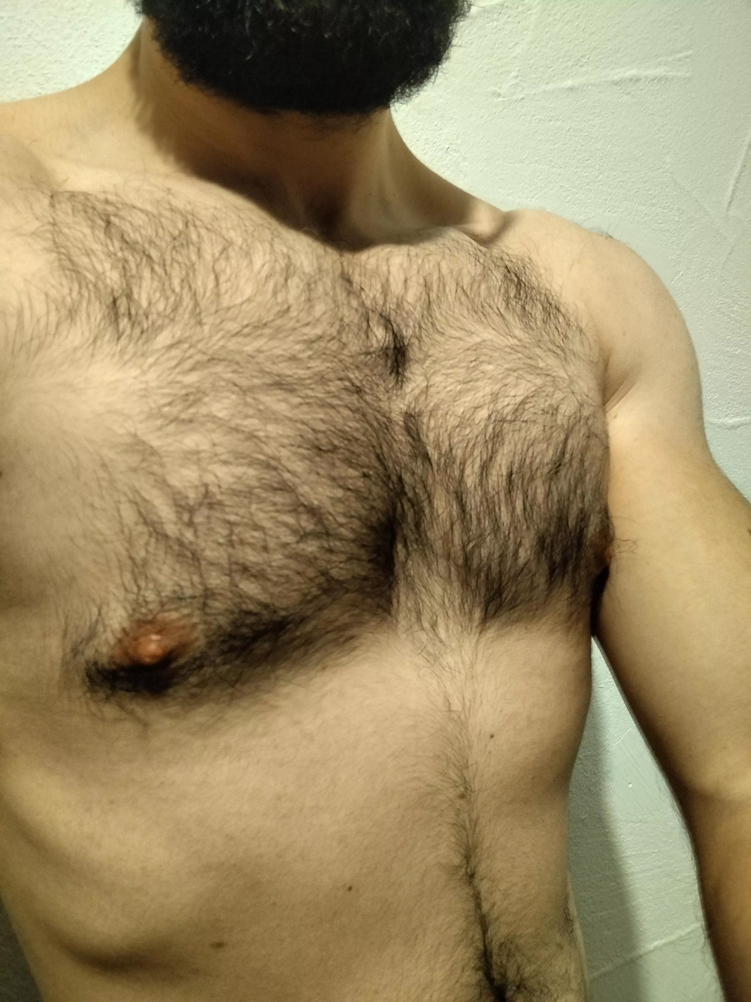 Hairy chest  posted by mrlostinparadise